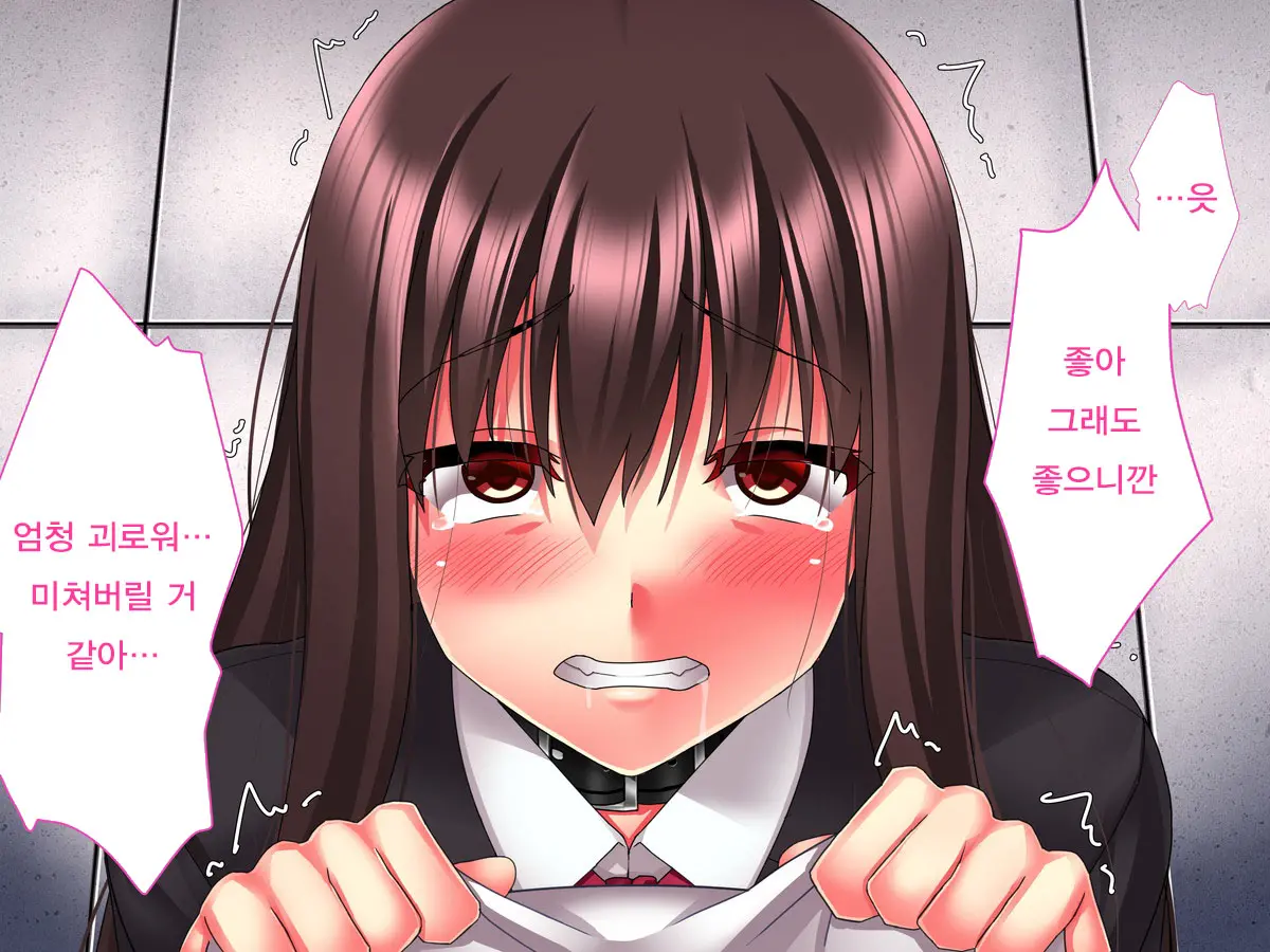 Kimeseku Nikuana Pet ~ Boku O Futta Takabisha Onna O Kankin Site Kusuri De Kuppuku Saseru ~